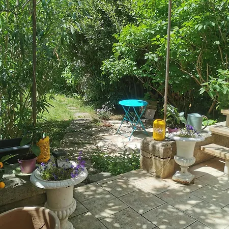 Cozy En Centre Dans Un Ecrin De Verdure مييو
